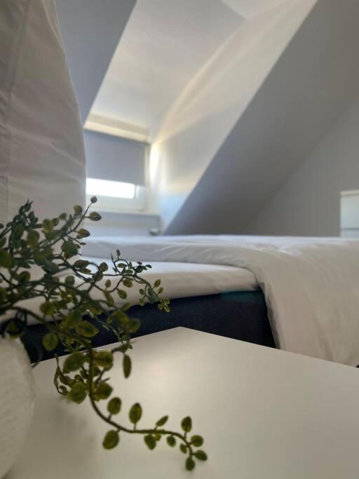 Gemuetliche, Helle Wohnung In פאדרבורן מראה חיצוני תמונה